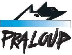 Sport Skigebiete Frankreich Südalpen Pra Loup 