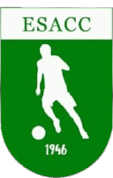 Deportes Fútbol Clubes Francia Centre-Val de Loire 28 - Eure-et-Loir Ent.S. Arrou Chatillon Courtalai 