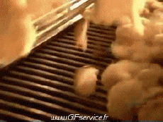 Humour - Fun Animaux Oiseaux Divers 