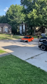 Humor -  Fun Transport Cars Funny 02 