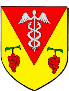 Blasón-Banderas Francia Departamentos - Ciudades 71 MERCUREY 