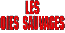 Multimedia Películas Internacional Patos Salvajes Logotipo Francés 
