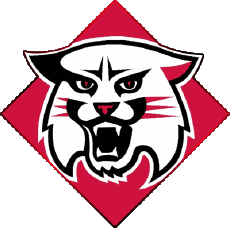 Sport N C A A - D1 (National Collegiate Athletic Association) D Davidson Wildcats 
