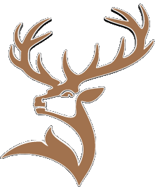 Boissons Whisky Glenfiddich 