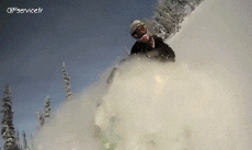 Humor -  Fun Transport Snow Motorcycle Fun - Win 