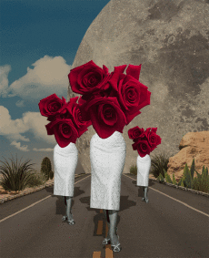 Humor -  Fun GIF Artists Isabel Chiara 