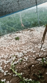 Humor -  Fun Orte Hagel 