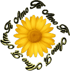 Messages Italien Ti Amo 02 