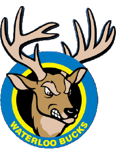 Sport Baseball U.S.A - Northwoods League Waterloo Bucks 