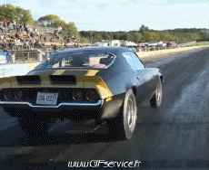 Humor -  Fun Transport Cars Wheeling Car 