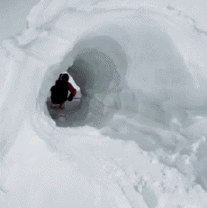 Humor -  Fun Sports Ski Free Ride Fun Win 