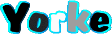 Prénoms MASCULIN - UK - USA Y Yorke 