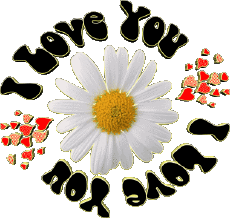 Messages Anglais I Love You 04 