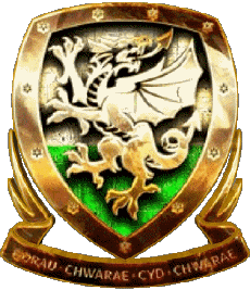 Sport Fußball - Nationalmannschaften - Ligen - Föderation Europa Wales 