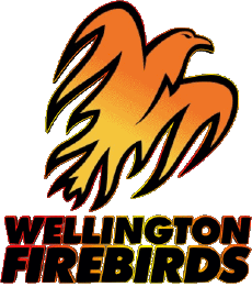 Deportes Cricket Nueva Zelanda Wellington Firebirds 