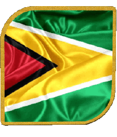 Flags America Guyana Square 