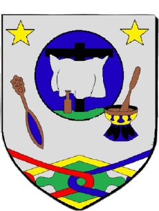 Blasón-Banderas Francia Departamentos - Ciudades 973 APATOU Blasón