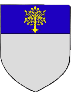 Flags France Departments - Cities 13 SENAS 