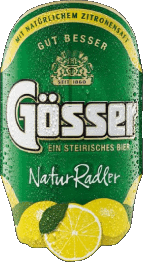 Getränke Bier Österreich Gösser 