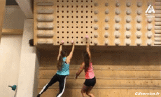 Humor -  Fun Sports Escalation Fun Win 