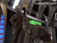 Humor - Fun Animales Avestruces 01 