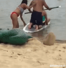 Humor - Fun Deportes Paddle Caídas - Fail 