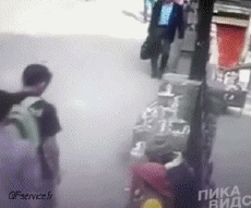 Humor -  Fun Animals Monkeys 01 