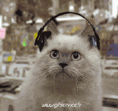 Humour - Fun Animaux Chats Serie 03 