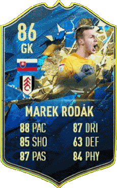 Multi Media Video Games F I F A - Card Players Slovakia Marek Rodák 