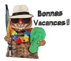 Messagi Francese Bonnes Vacances Sfondo trasparente 30 