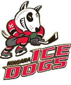 Sport Eishockey Kanada - O H L Niagara IceDogs 