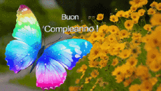 Nachrichten Italienisch Buon Compleanno Farfalle Animierter Hintergrund 004 