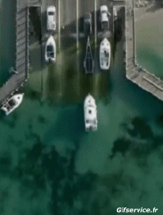 Humour - Fun Transports Bateaux Fun - Win 