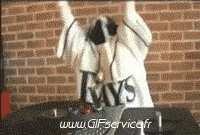 Humor -  Fun Tiere Katze 02 