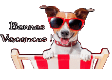 Messages French Bonnes Vacances Transparent Background 03 