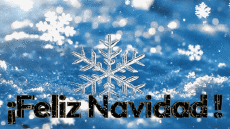 Messages Espagnol Feliz Navidad Video 