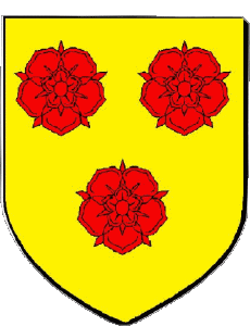 Banderas Francia Departamentos - Ciudades 38 GRENOBLE 