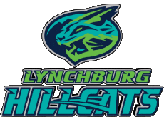 Deportes Béisbol U.S.A - Carolina League Lynchburg Hillcats 