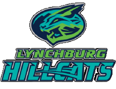Sportivo Baseball U.S.A - Carolina League Lynchburg Hillcats 