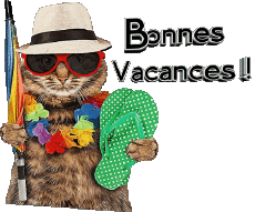 Messages French Bonnes Vacances Transparent Background 30 