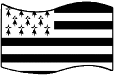 Flags France Regions Brittany Rectangle 
