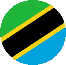 Flags Africa Tanzania Rond 