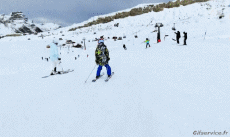 Humor -  Fun Sports Ski Fail Various 