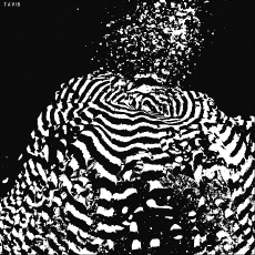 Humor -  Fun GIF Artists Bill Tavis 