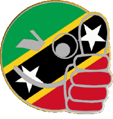 Bandiere America Saint Kitts e Nevis Faccina - OK 