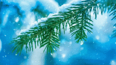 Messages Espagnol Felices Fiestas Video 