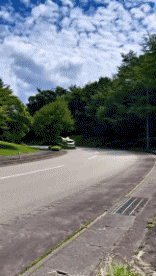 Humor -  Fun Transport Cars Funny 