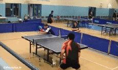 Humor - Fun Deportes Ping Pong Serie 01 