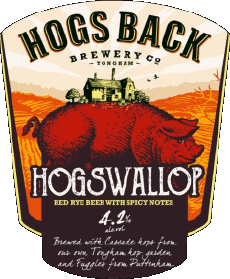 Getränke Bier UK Hogs Back 