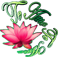 Messagi Spagnolo Te Amo 03 